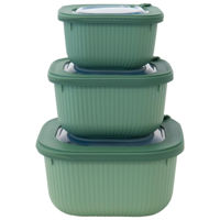 Контейнер для хранения пищи Axentia 140077 Set de 3 recipiente patrate din plastic
