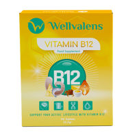 Wellvalens Vitamina B12 (1000UI) comp. N90