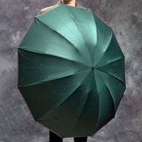 Umbrelă miscellaneous AU5732 automata monofonica cu tija pliabila