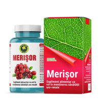 Merisor (sanatatea uro-renala) caps. 240mg 100% natural N60 Hypericum