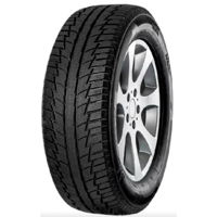 Шина Fortuna 215/60 R17 96H WINTER SUV