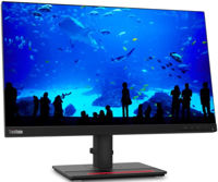 23.0" LENOVO ThinkVision T23i-20, Black, IPS, 1920x1080, 60Hz, 4ms, 250cd, D-Sub+HDMI+DP+USB, Pivot