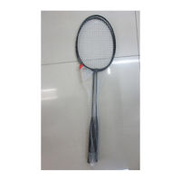 Palete badminton otel (2 buc.) + fluturas 2311-1477 (3521)