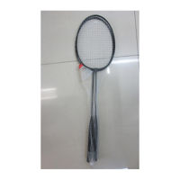 Palete badminton otel (2 buc.) + fluturas 2311-1477 / 52035 (3521)