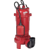 Насос Raider RD-CAWP56 apă murdară