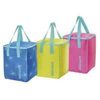 Сумка холодильник GioStyle 42365 Easy Style 27x26x37cm 30l