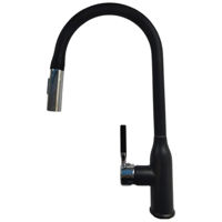 Смеситель кухонный Backer EVF39