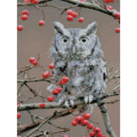 Tablou pe numere Strateg HX304 Алмазная мозайка Сова на ветке 30x40