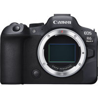 Canon R6 Mark II body