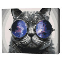 Картина по номерам BrushMe BS29637FC 40x50cm(fără cutie) Pisicul în Miami