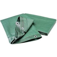 Брезент Greentech Брезент 610gr 3x3 green