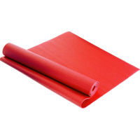 Инвентарь для йоги Arena 840403  каучук-PU 3 mm Red