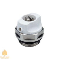Robinet pentru aerisire Maievschi VALFEX 1/2"