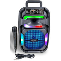Аудио гига-система Bontempi 491030 Set karaoke cu microfon, lumina si display, cod 60497