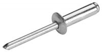 cumpără Nituri aluminiu 4,0 x 10 mm (50 buc.)  TOLSEN în Chișinău