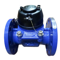 Contor D. 80 DSF-CF cu flanse (SS)