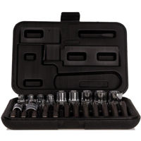 Набор головок, бит, насадок Heyner 448000 chei de stringere in set (30 buc) PRO