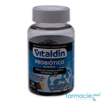 VITALDIN Probiotic (500 mln) + Vit. B12 Gumite N30