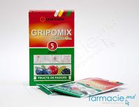 Gripomix cu fructoza (fructe de padure) pulb./sol. orala 10g N5
