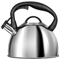 Чайник MPM MCN-13P 3L inox