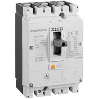 Автомат дифференциальный Schrack Technik MX110431 Автоматический выключатель типа A, 3 полюса, 36 кА, 100 А