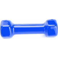 Гантель Arena гантеля А8025BL 2.5 кг синий
