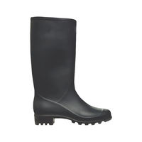 Сапоги резиновые Женские (36-41)