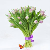 Фиолетовые голландские тюльпаны поштучно