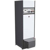 Газовый котёл ACV DELTA PRO S25