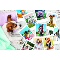 Головоломка Trefl R25K /14(R25C /32/33) (23003) 300 Holiday pictures