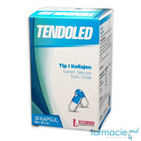 TENDOLED capsule colagen tip 1 MSM N30