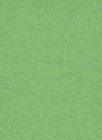 Фон Бумажный Creativity Graund 2,72 х 11,0 м Summer Green  111263