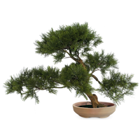 Искусственные деревья и цветы