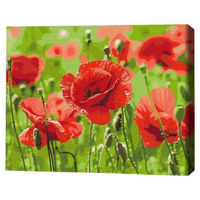 Картина по номерам BrushMe BS53703FC 40х50 cm (fără cutie) Maci roșii