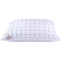 Домашний текстиль SaltConfort Pernă brodată 50/70