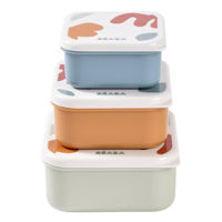 Контейнер для хранения пищи Beaba B913589 Set 3 caserole Playful