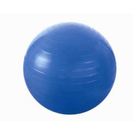 Minge gimnastica cu pompa d=55 cm HMS blue (4824)