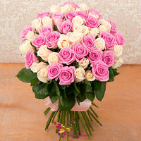 Букет из 51 розово- кремовой эквадорской розы 60-70 см
