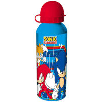 Бутылочка для воды KiDS Licensing SN7141MC Assorted 3 Designs Sonic Aluminium Canteen