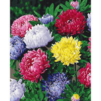 Tablou pe numere BrushMe BS54120FC 40х50 cm (fără cutie) Astre colorate