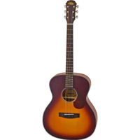 Chitară Aria 101 MTTS acustica