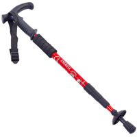 Треккинговые палки Arena 91053 красная