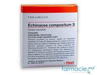 Echinacee compositum S  inj. 2.2ml N5