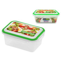 Container alimentare GioStyle 51534 хранение/заморозка Forte Summer 1.1l