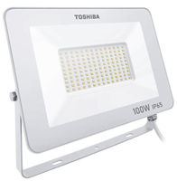 Прожектор Toshiba 00173318 Projector LED IP65 100W 4000K (Alb)
