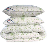 Textile de casă Somnart Комплект Одеяло + 2 подушки Aloe Vera 200x220 см