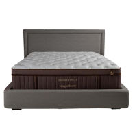 Saltea ortopedică Askona Матрас Grether & Wells Magneficient 200/180 кор