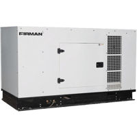 Генератор Firman SDG13FS