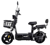 Bicicletă electrică Garow Black 249w