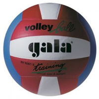 Мяч волейбольный Gala Training 5061 (5943)